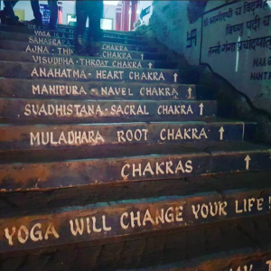 Yoga Will Change Your Life!