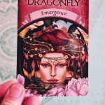 The dragonfly Emergence card from the Earth Magic oracle cards