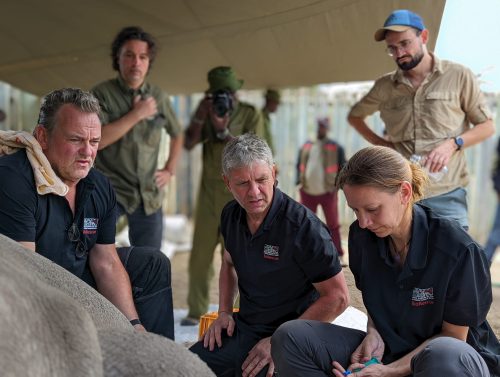 Bio Rescue Endangered Northern White Rhino