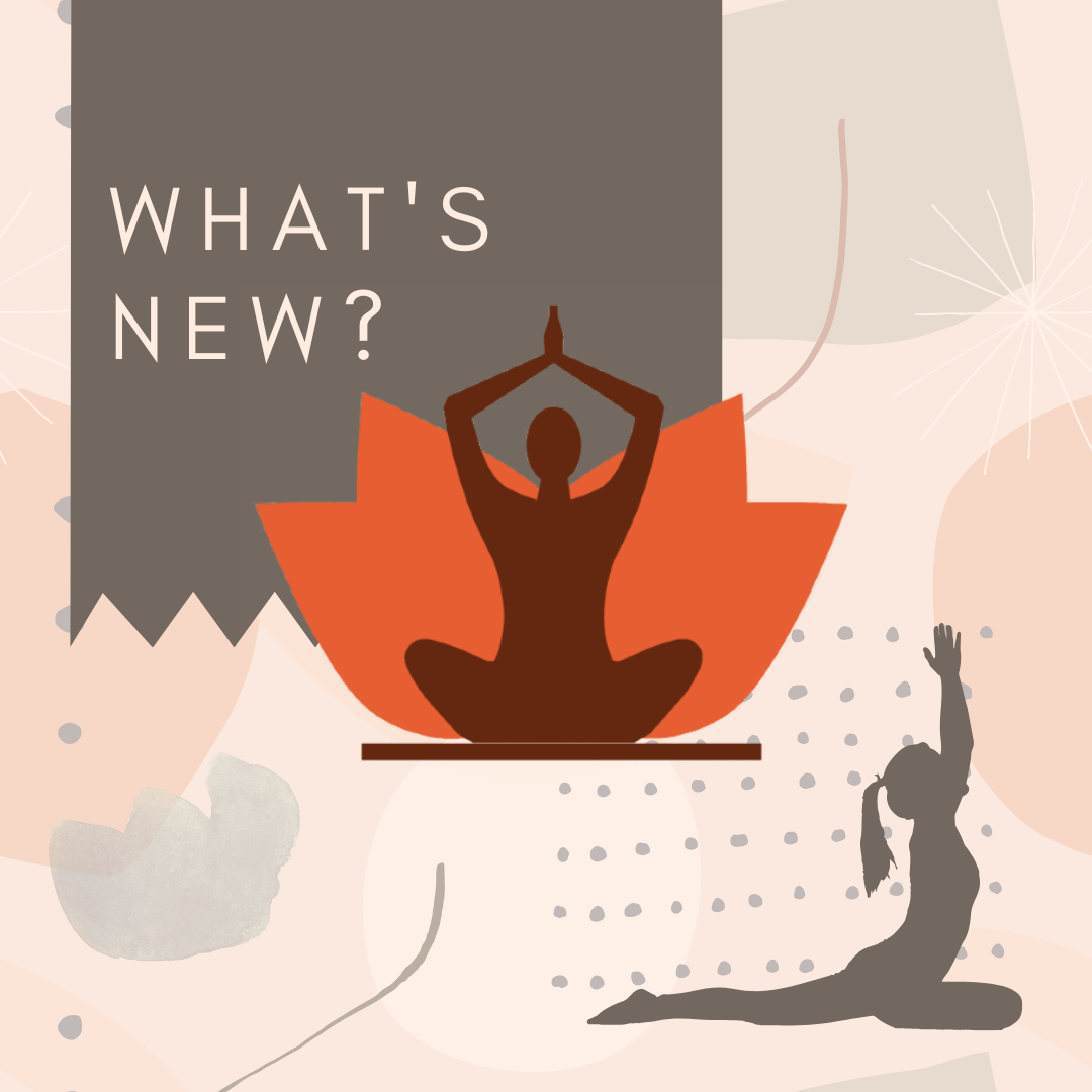 Read more about the article What’s New