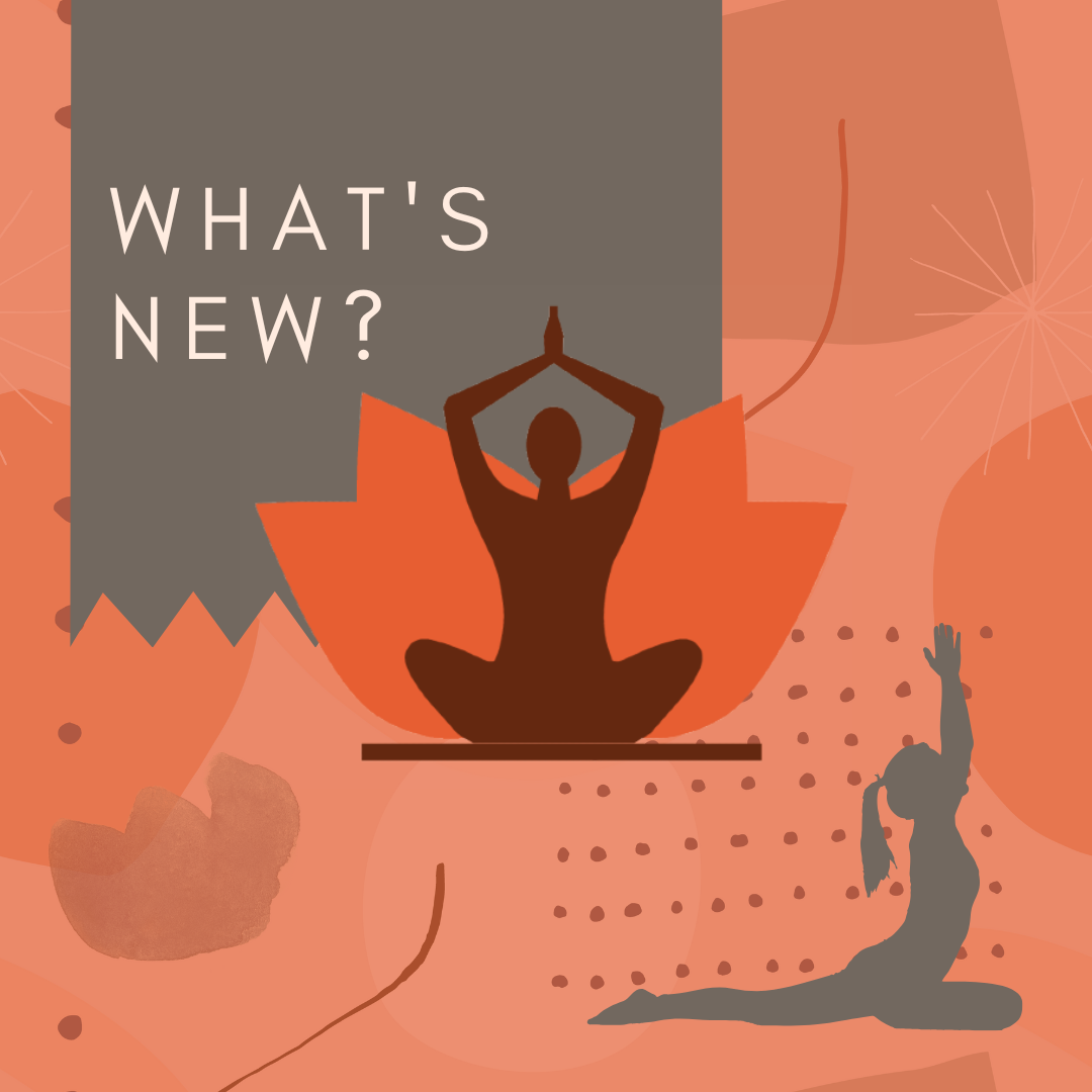 Read more about the article What’s New