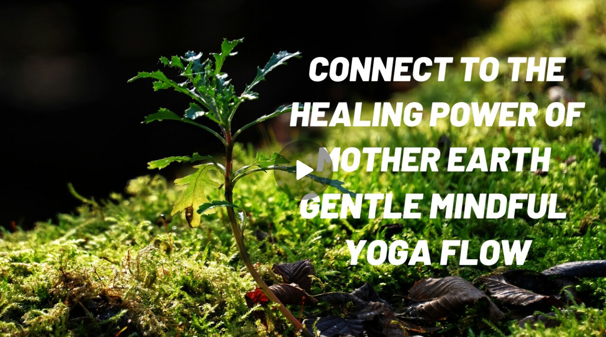 Link to 42 Yoga gentle mindful yoga flow connect to the healing power of mother earth