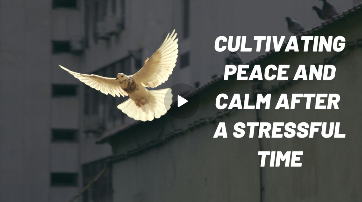 Link to recorded yoga class 42 Yoga Mindful Flow Cultivating Peace and Calm After a Stressful Time